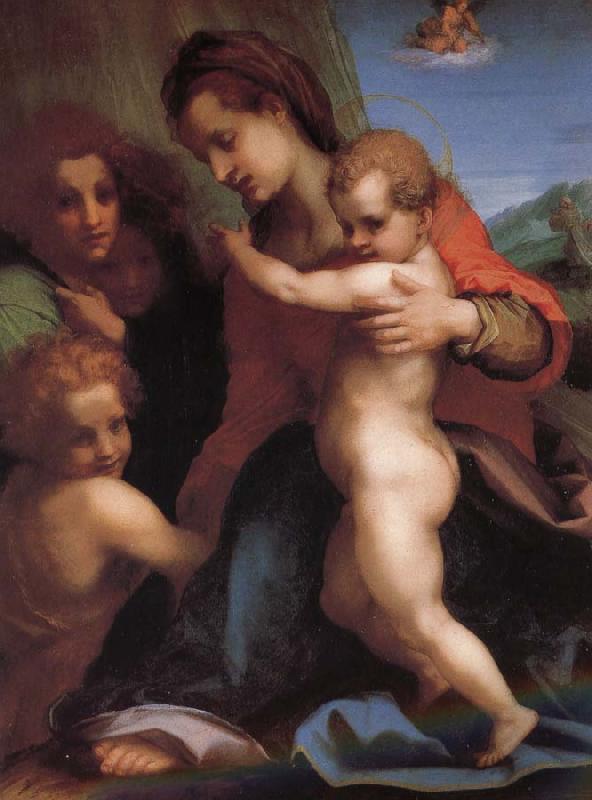 Andrea del Sarto The Virgin and Child with St. John childhood, as well as two angels Germany oil painting art